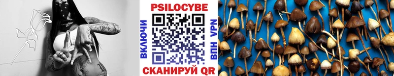 Псилоцибиновые грибы Magic Shrooms  omg зеркало  Пролетарск 